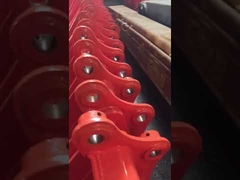 دلو الإبهام